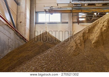 Granules Of Rape Cakes In The Agricultural Factory For The Production Of Rapeseed Oil.