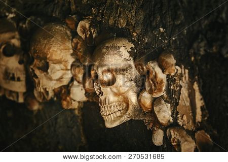 Several Human Skulls Immured In The Wall