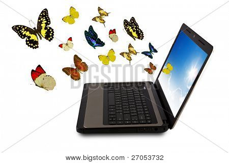 Schmetterling streckt sich der laptop