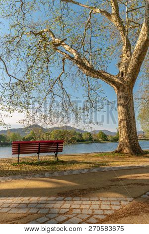 Tree Lined Walk Along The Lima River At Alameda Dos Platanos, Ponte De Lima Portugal.