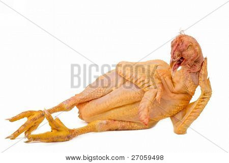 poulet Nu couché sous fond blanc