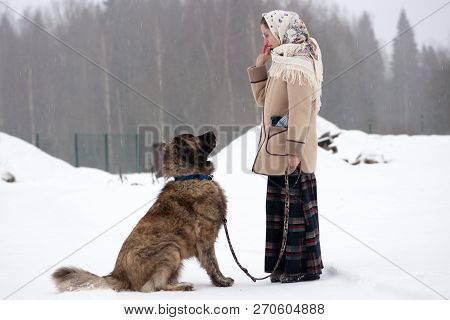 The Girl Trains Dogs On A Snowy Ground In The Middle Of The Forest In Winter. The Girl In A Coat, A 