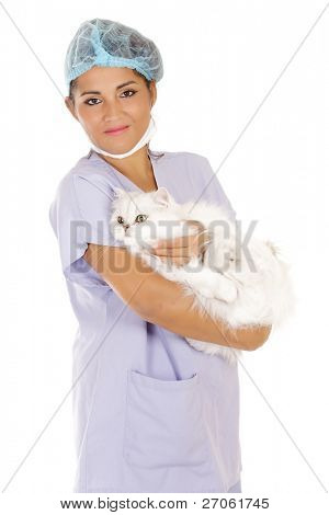 femme vétérinaire tenant chat angora isolé on white