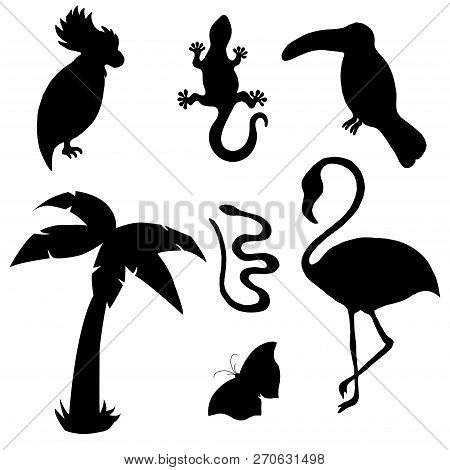 Animal Silhouettes Flamingo, Gecko, Cockatoo, Toucan, Animal,animals,art,background,beak,bear,beauty