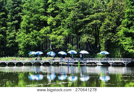 Shenzhen, China.  June 16, 2018.  Chinese Men Fishing On A Bridge Within Lizhi Park In Futian Distri