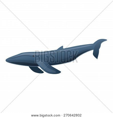 Sei Whale Icon. Cartoon Of Sei Whale Vector Icon For Web Design Isolated On White Background