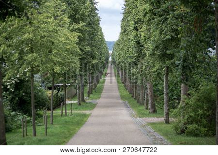 Fredensborg, Denmark - July 2, 2017: A Tree Alley In The Park At Fredensborg Palace