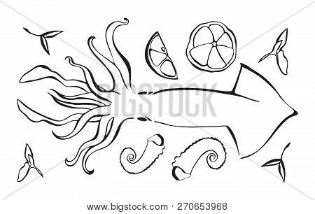 Hand Drawn Vector Illustration Of Octopus As Seafood. Poulpe With Lemon And Herbs. Black Isolated On