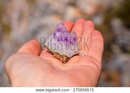 Druse Of Natural Untreated Violet Crystals Of Amethyst On A Piece Of Rock Lies On The Palm Of Your H