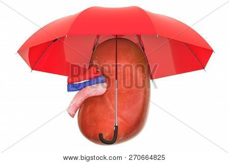 Human Kidney Under Umbrella, Protect Concept. 3d Rendering Isolated On White Background