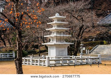 Five Story Pagoda In Concrete Enclosure In Front Of Barren Tree With Persimmons Hanging From Leafles