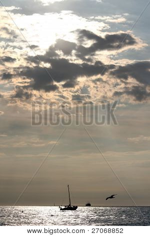 Sailing Ships (warnemünde - Rostock, Germany)