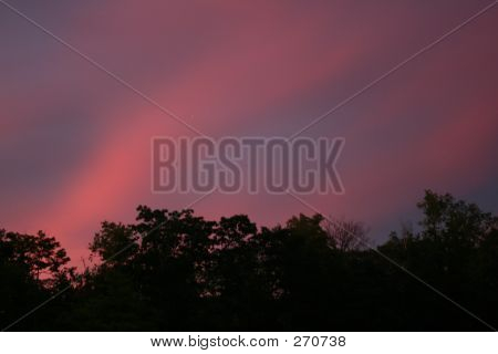 สีสดใสศรี