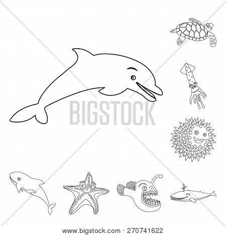 Vector Illustration Of Sea And Animal Icon. Set Of Sea And Marine Vector Icon For Stock.