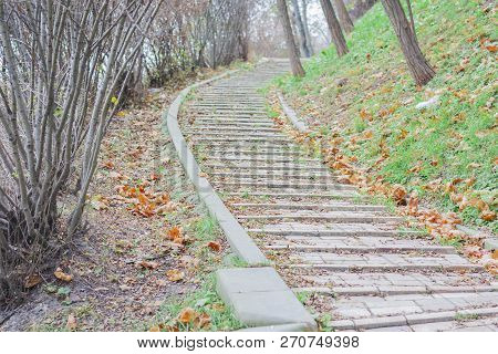 Stone Walkway Track In The Park, Autumn In Kiev, Ukraine