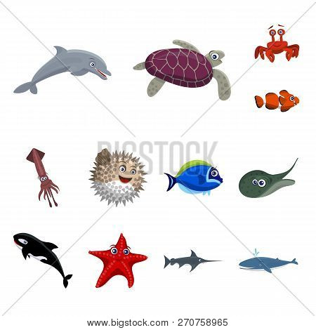 Vector Design Of Sea And Animal Symbol. Collection Of Sea And Marine Stock Vector Illustration.