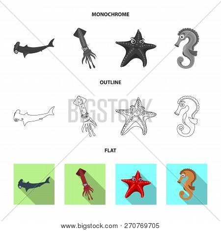 Vector Design Of Sea And Animal Sign. Collection Of Sea And Marine Vector Icon For Stock.