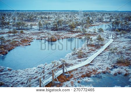 Big Swamp Wetlands Kemeri National Park, Latvia