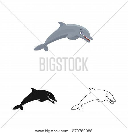 Vector Design Of Sea And Animal Logo. Set Of Sea And Marine Stock Vector Illustration.