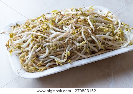 Package Of Bean Sprouts / Mungbean Or Soybean