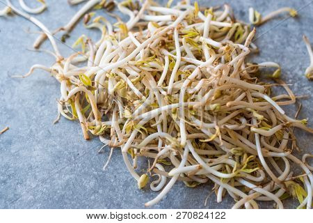 Mungbean / Bean Sprouts Or Soybean