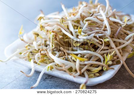Package Of Bean Sprouts / Mungbean Or Soybean