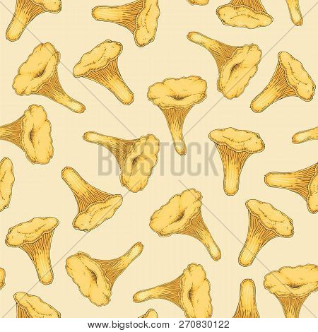 Seamless Pattern With Golden Chanterelle. Edible Mushroom.