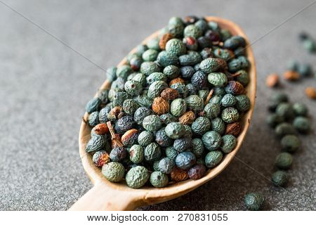 Citlembik / Northern Hackberry Seeds / Terebinth Berry / Celtis Occidentalis