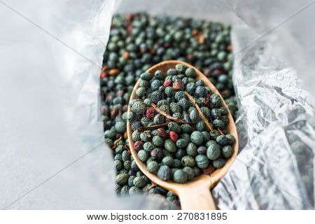 Citlembik / Northern Hackberry Seeds / Terebinth Berry / Celtis Occidentalis