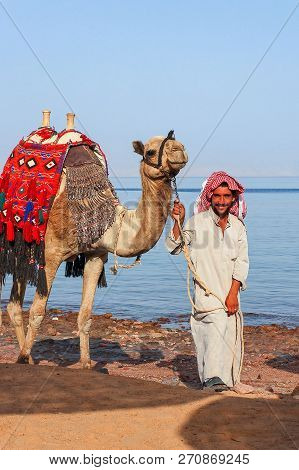 Egyptian With His Camel Posing Against The Sea, June 5, 2008, Taba, Egypt
