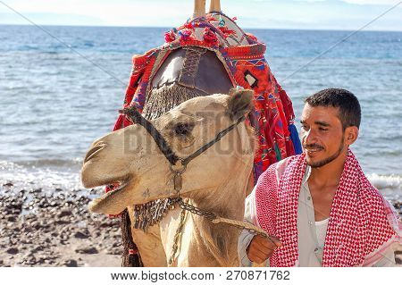 Egyptian With His Camel Posing Against The Sea, June 8, 2008, Taba, Egypt