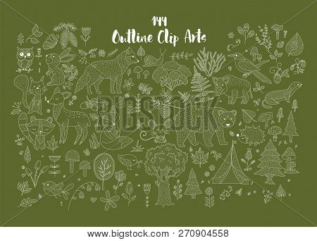 Big Set Of Hand Drawn Utline Forest Illustraitions With Wild Animals And Nature Elements.