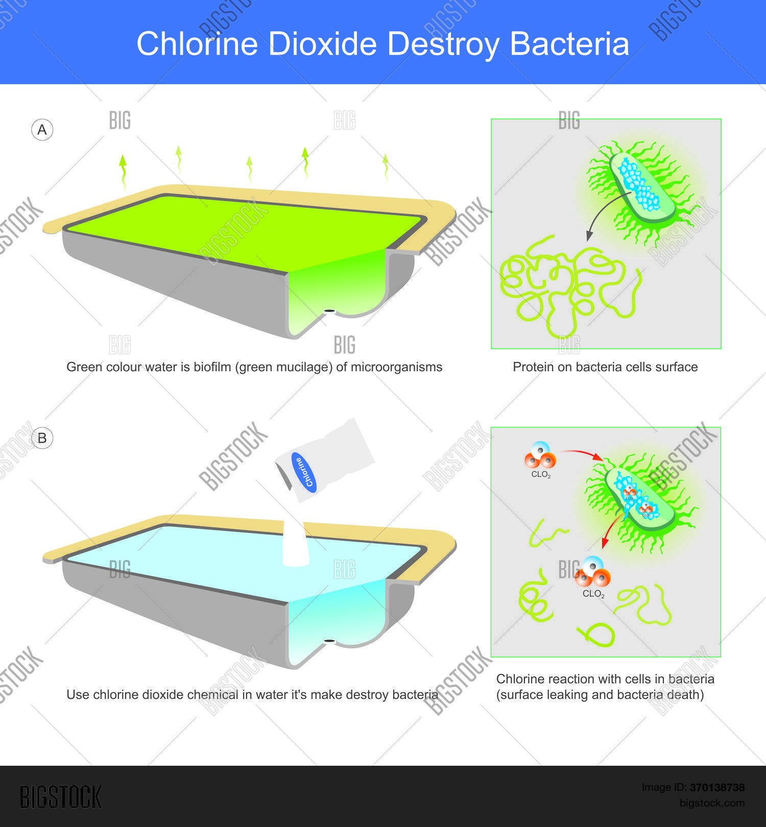 Chlorine Dioxide Vector & Photo (Free Trial) Bigstock