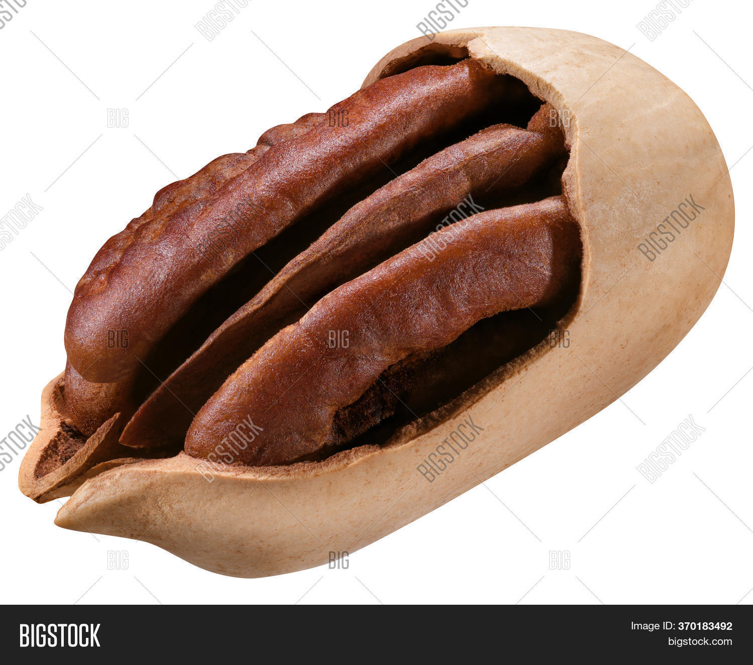 Pecan Isolated On Image & Photo (Free Trial) | Bigstock