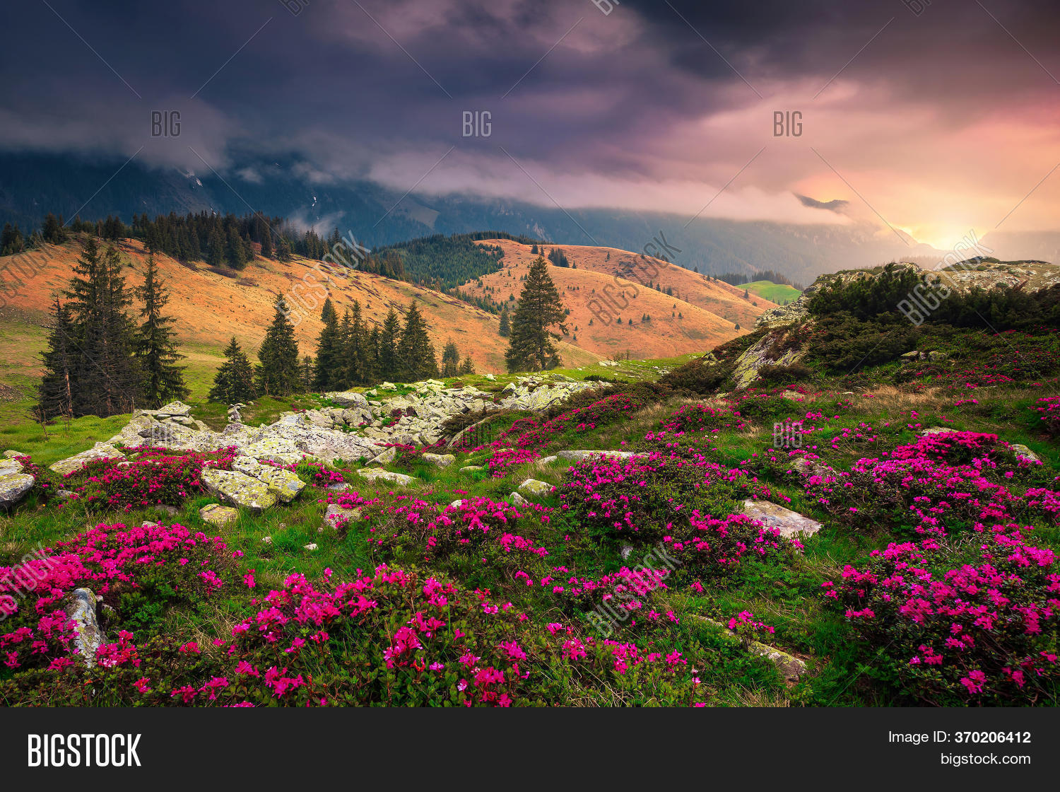Beautiful Hills Image & Photo (Free Trial) Bigstock