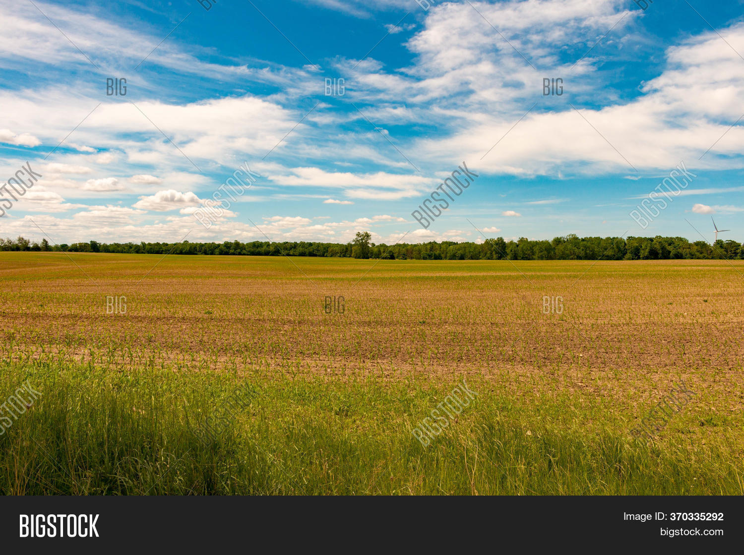 Farm Land, Ontario, Image & Photo (Free Trial) Bigstock