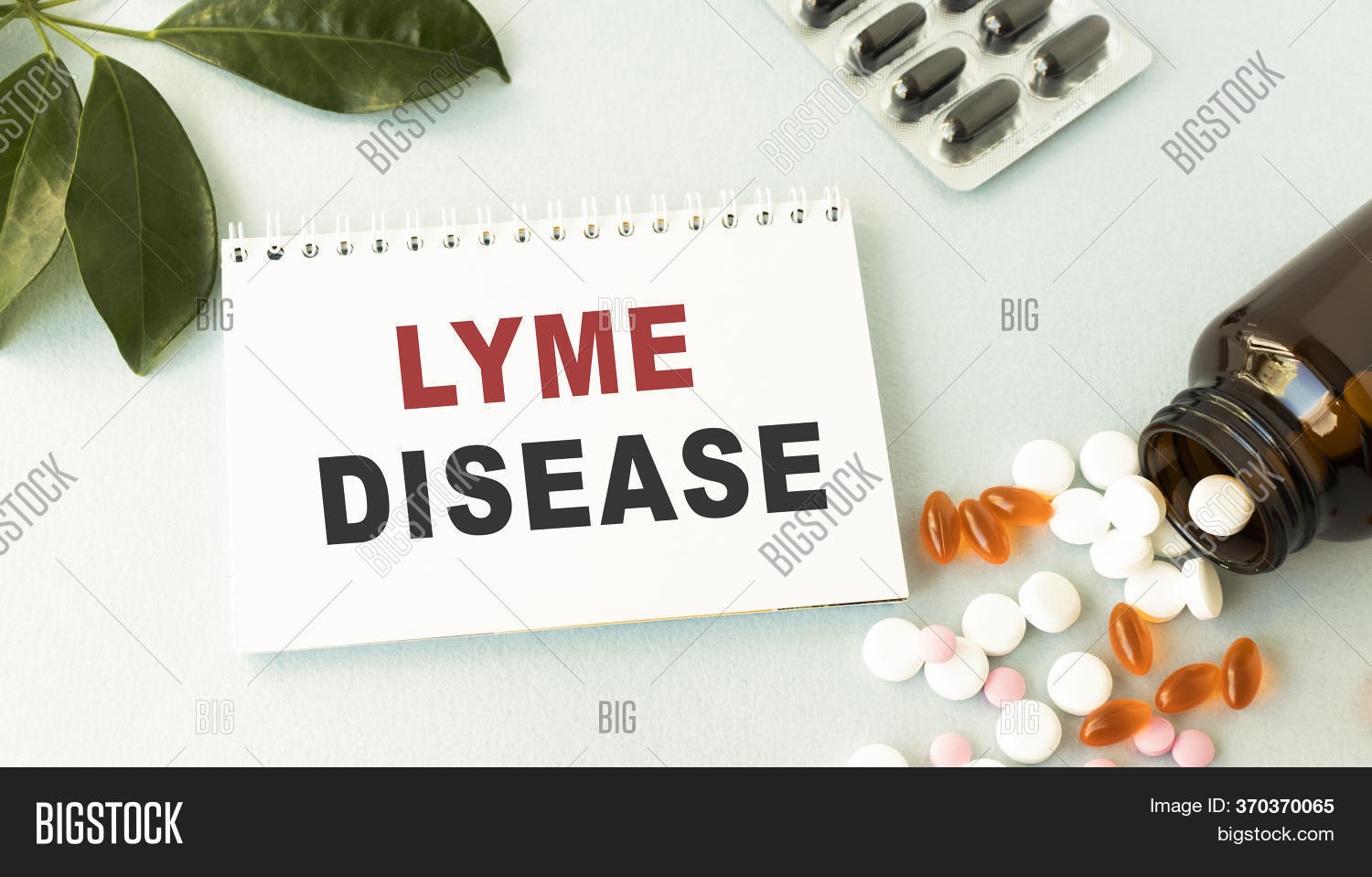 Lyme Disease Words Image & Photo (Free Trial) Bigstock