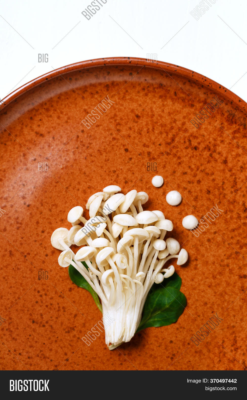 Enoki, Enokitake, Image & Photo (Free Trial) Bigstock