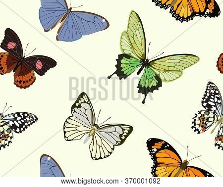 Seamless Pattern With Multi-colored Butterflies Of Different Breeds. Vector Illustration