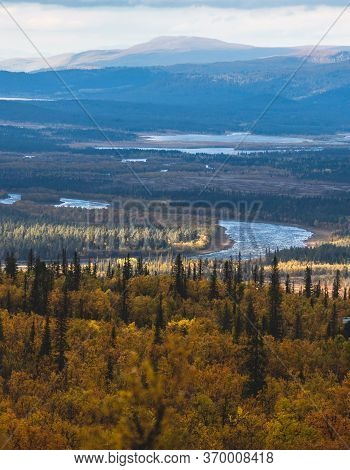 Swedish Autumn Fall Vibrant Landscape During Hiking To Kurravaara Mountain In Norrbotten County, Kir