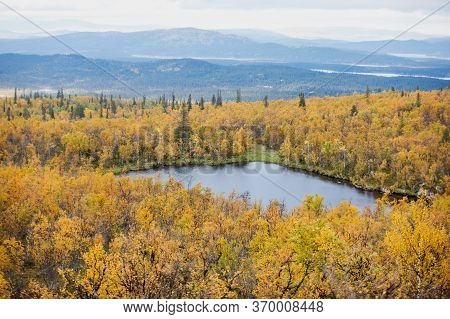 Swedish Autumn Fall Vibrant Landscape During Hiking To Kurravaara Mountain In Norrbotten County, Kir