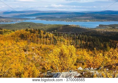 Swedish Autumn Fall Vibrant Landscape During Hiking To Kurravaara Mountain In Norrbotten County, Kir