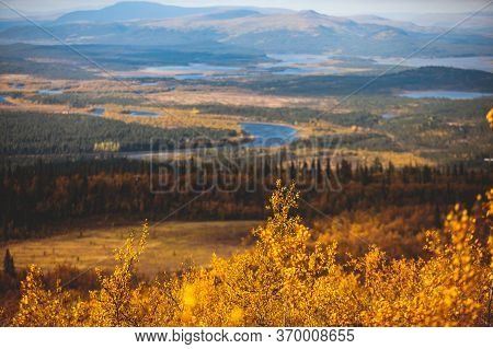 Swedish Autumn Fall Vibrant Landscape During Hiking To Kurravaara Mountain In Norrbotten County, Kir