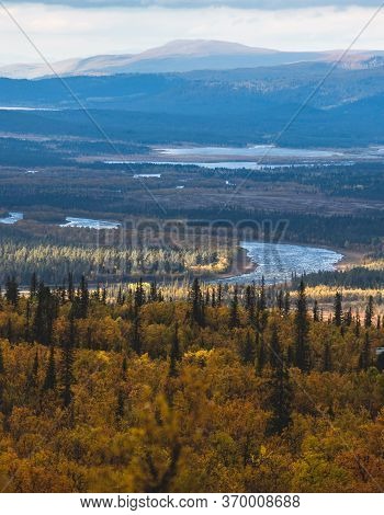 Swedish Autumn Fall Vibrant Landscape During Hiking To Kurravaara Mountain In Norrbotten County, Kir