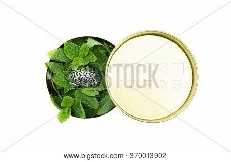 Round Tin Box Full Of Fresh Green Mint Leaves And A Steel Copy Of Human Brain On Top. Fresh Ideas Te