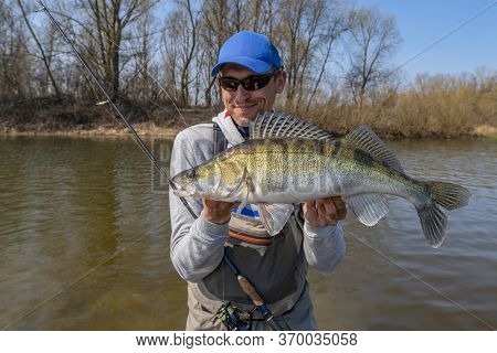 Happy Fisherman With Zander Fish. Success Walleye Fishing At Wild River