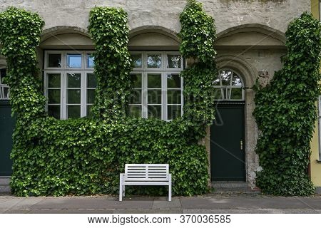 Facade Overgrown With Ivy On An Historic Old Town House With Muntin Windows And A White Bench In The