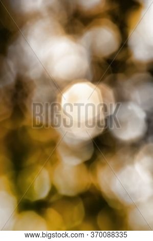 Beautiful Natural Foliage That Has Changed Color In The Autumn Season, A Close-up Of A Part Of The T