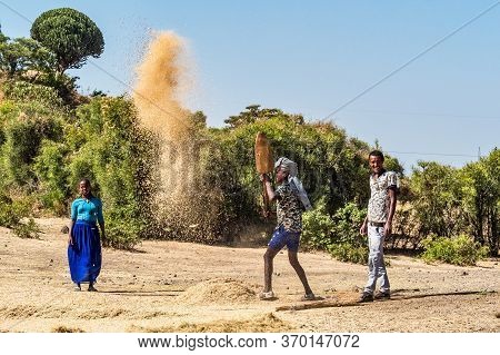 Gondar, Ethiopia - Feb 06, 2020: Ethiopian Peasants Working In The Fields During The Harvest, Thresh