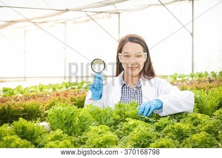 A Researcher With A Magnifying Glass To Study Vegetables Grown With Hydroponic Systems And Ab Fertil